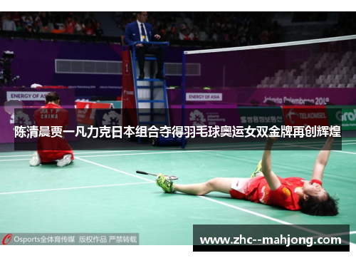 陈清晨贾一凡力克日本组合夺得羽毛球奥运女双金牌再创辉煌 陈清晨贾一凡力克日本组合夺得羽毛球奥运女双金牌再创辉煌