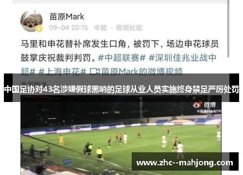 中国足协对43名涉嫌假球黑哨的足球从业人员实施终身禁足严厉处罚 中国足协对43名涉嫌假球黑哨的足球从业人员实施终身禁足严厉处罚